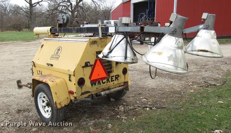 image for item DD3870 (2) light plants