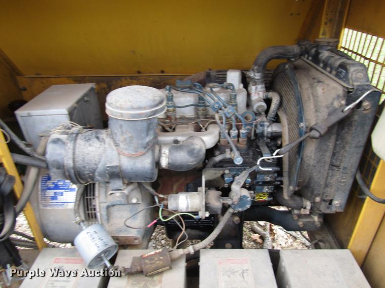 image for item DD3870 (2) light plants