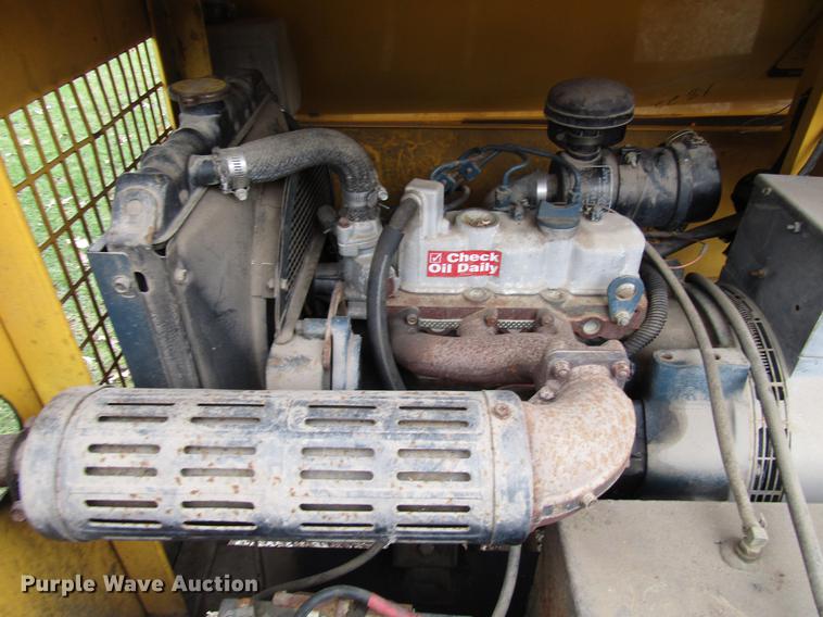 image for item DD3870 (2) light plants