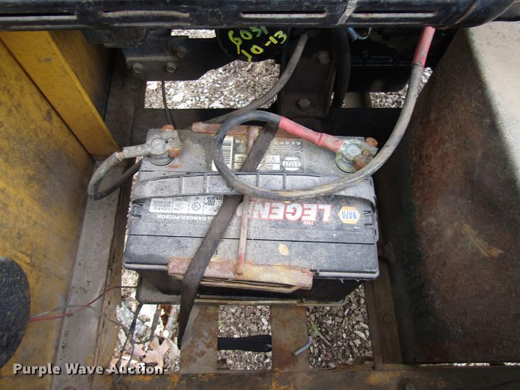 image for item DD3870 (2) light plants