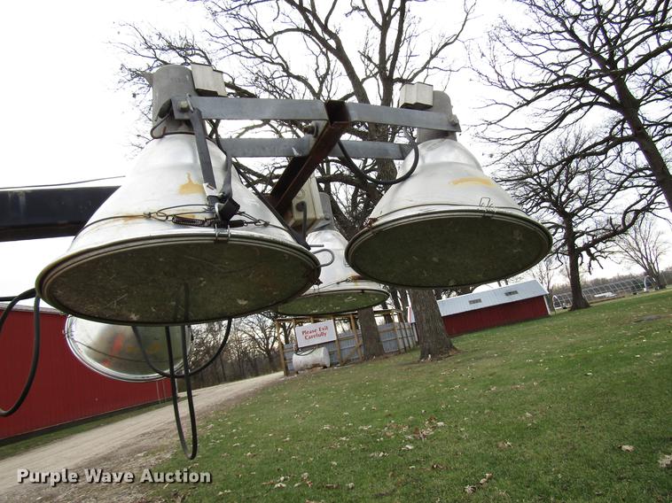 image for item DD3870 (2) light plants