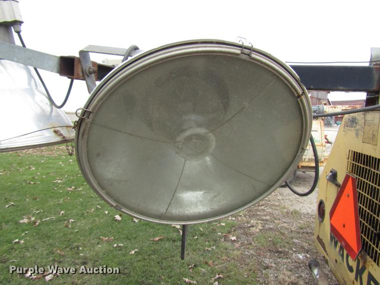 image for item DD3870 (2) light plants