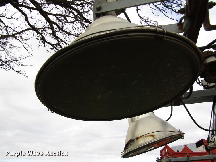 image for item DD3870 (2) light plants