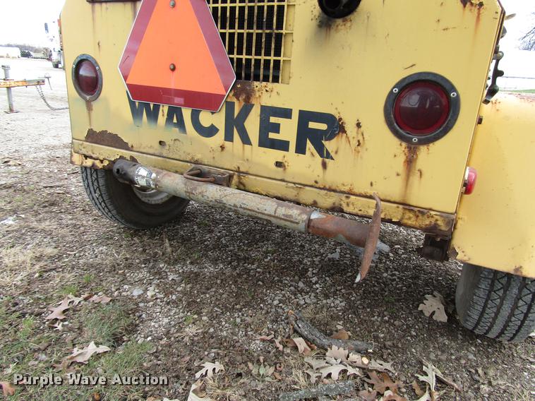 image for item DD3870 (2) light plants