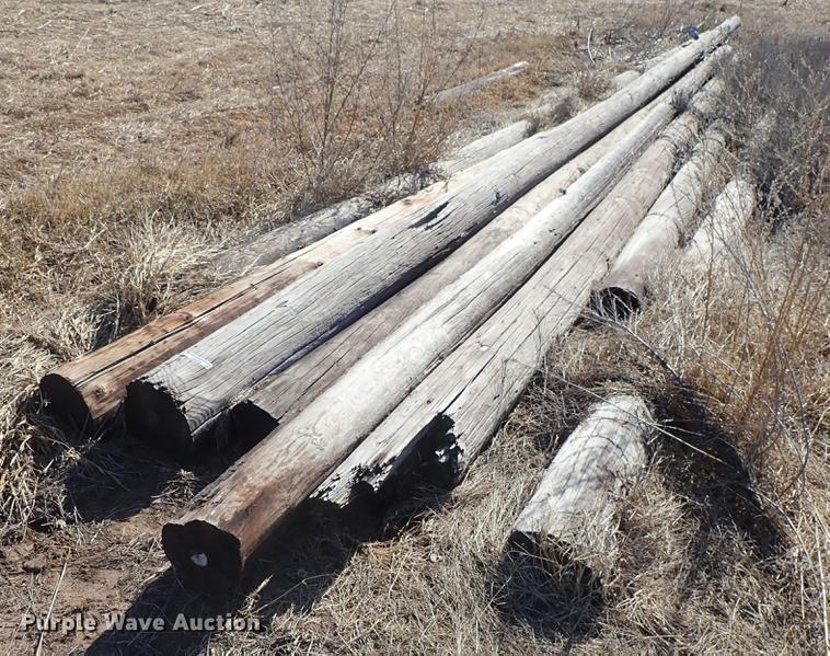 image for item EM9495 (8) telephone poles