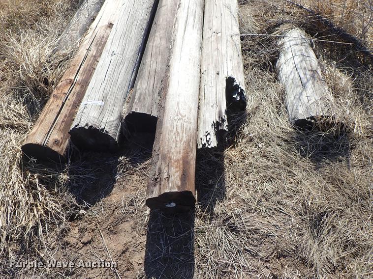 image for item EM9495 (8) telephone poles