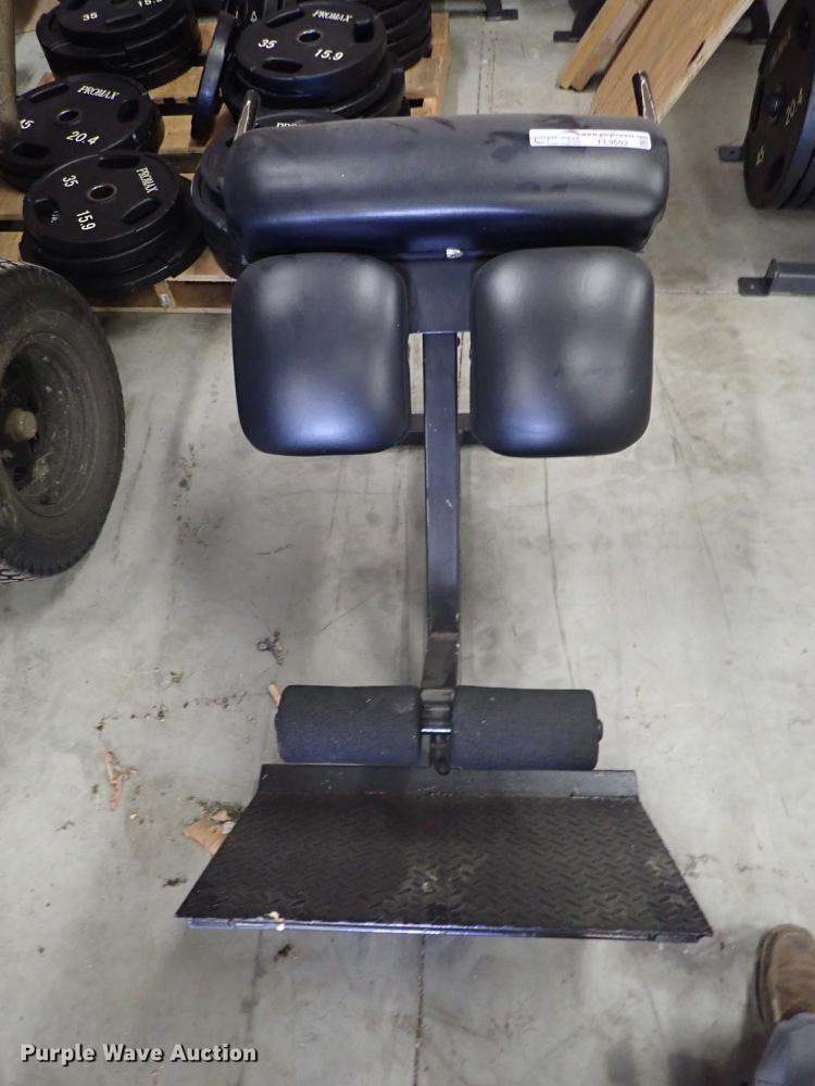 image for item FL9602 Ab and back machine