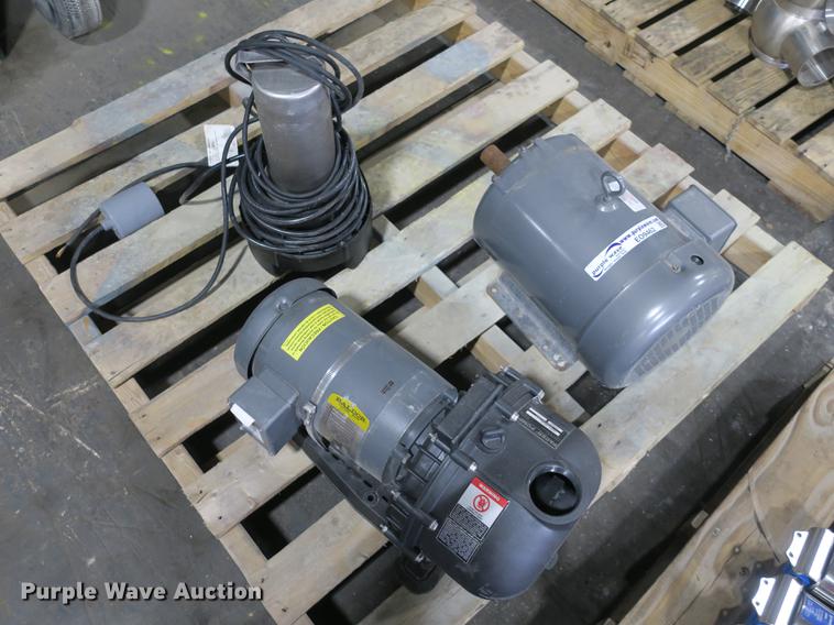 image for item EO9462 Pacer SE2HLD3.OC effluent lift pump