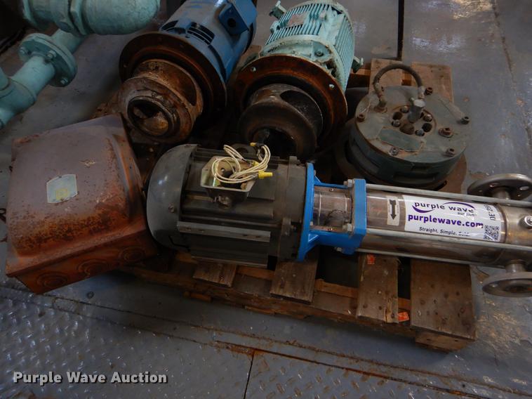 image for item DE1259 (3) pumps