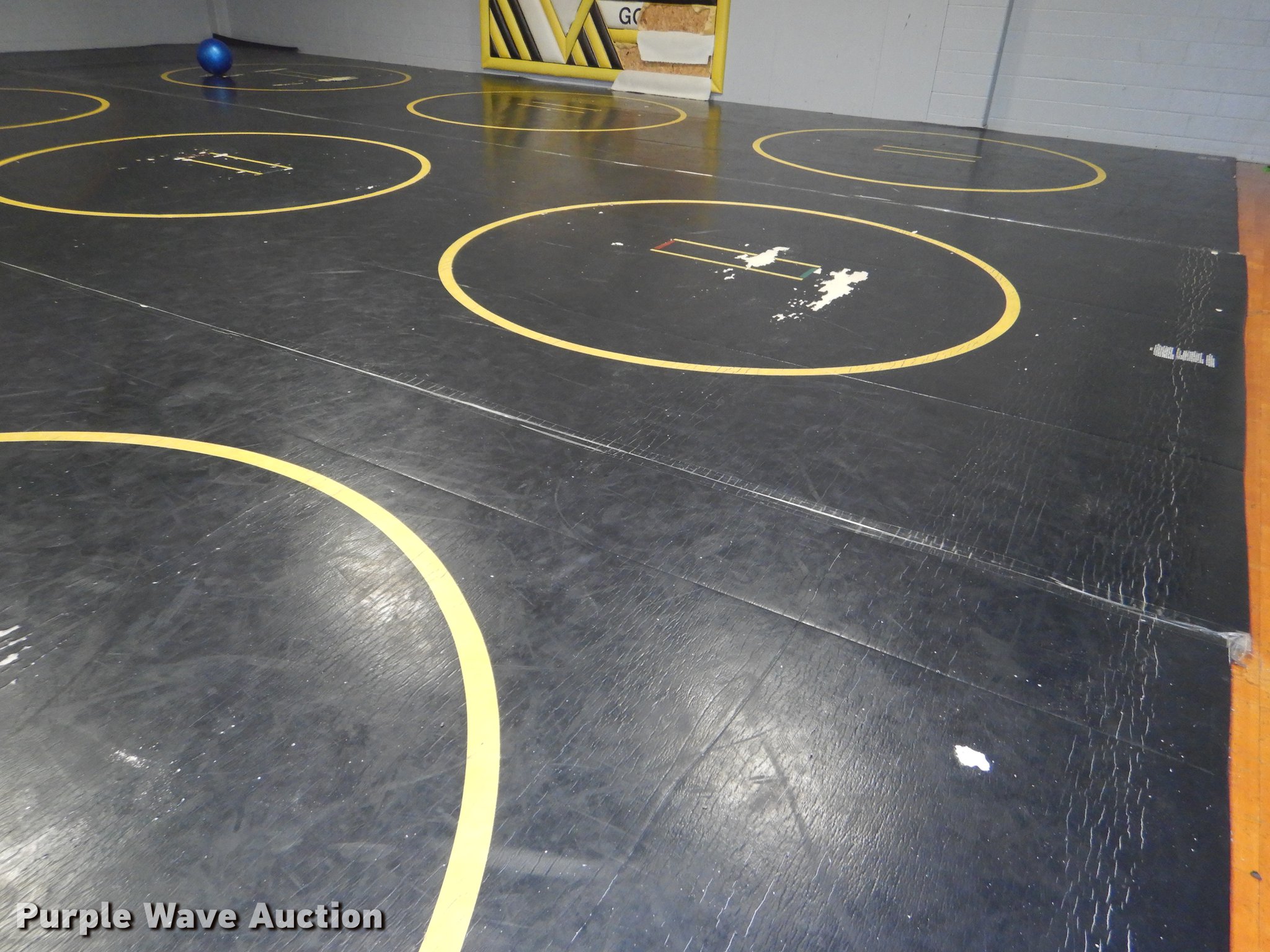 (7) mats in Kansas City, KS Item FQ9830 sold Purple Wave