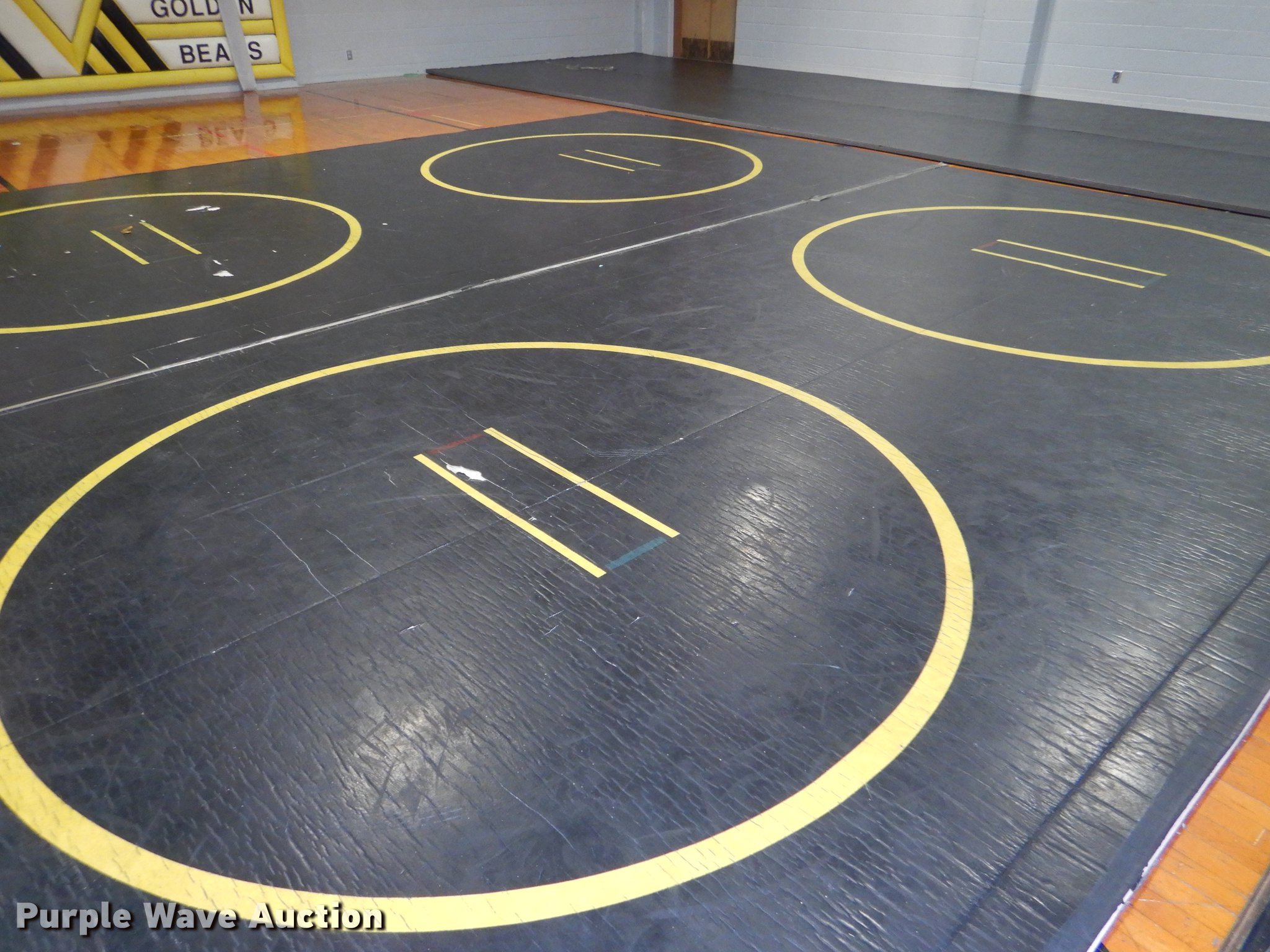 (7) mats in Kansas City, KS Item FQ9830 sold Purple Wave