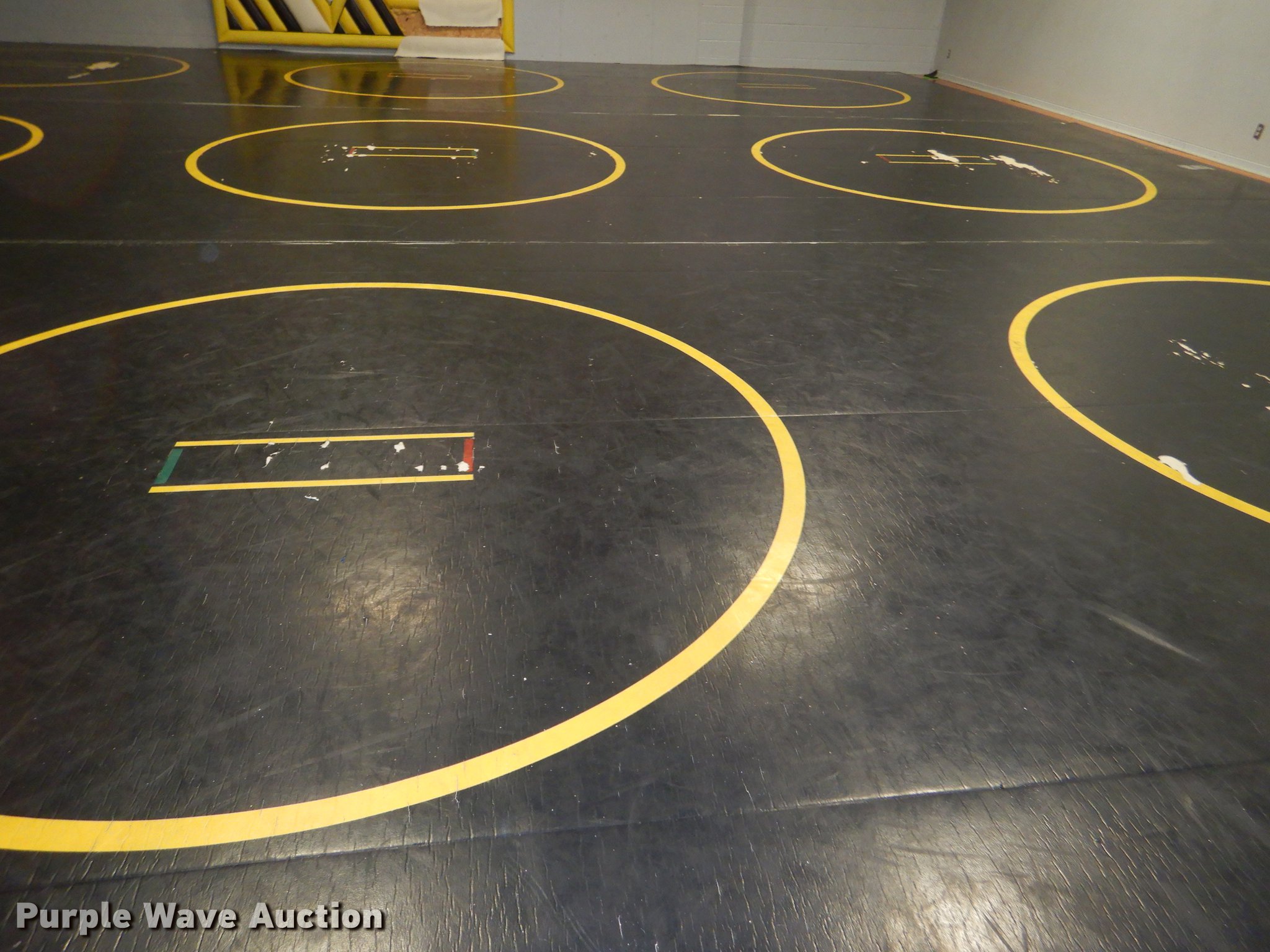 (7) mats in Kansas City, KS Item FQ9830 sold Purple Wave