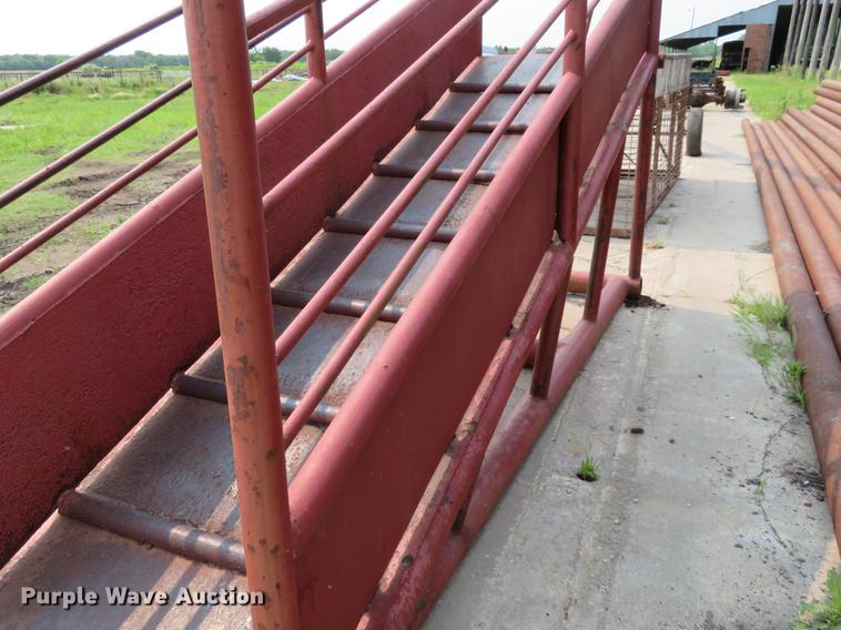 image for item DD7062 Steel livestock loading chute