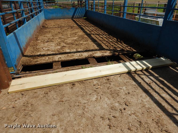 image for item DG5795 Sooner PLSW2410-10 livestock scale