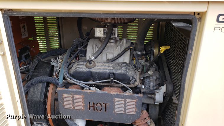 image for item EU9831 Generac 4306430100 generator