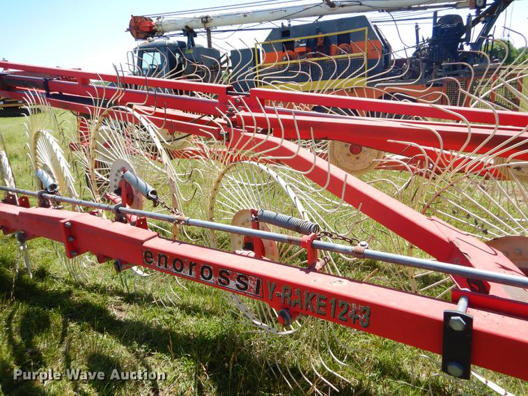 image for item ED9312 2003 Enorossi 12+3 hay rake