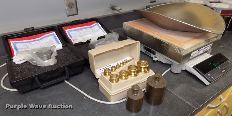 image for item DO9484 (3) digital scales