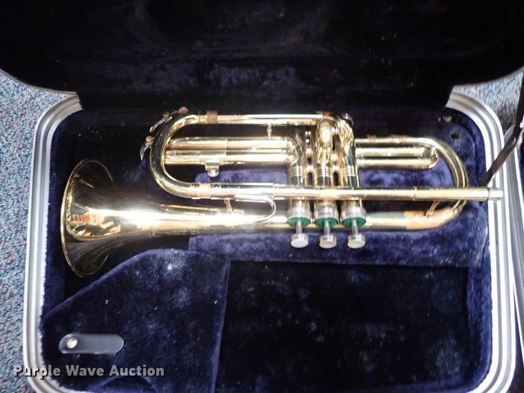 image for item FB9211 (6) cornets