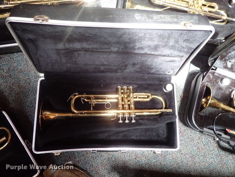 image for item FB9212 (7) trumpets