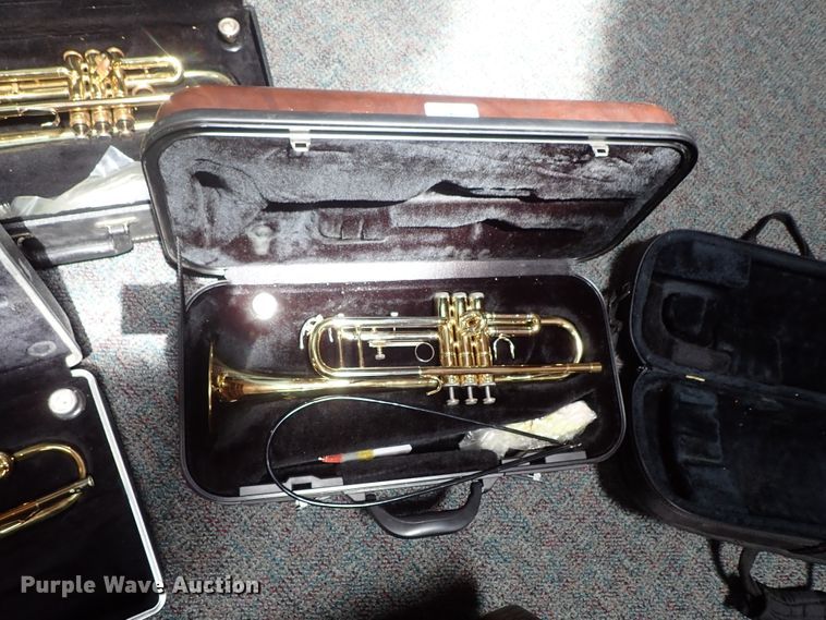 image for item FB9212 (7) trumpets