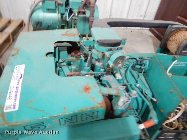 image for item ED9448 Onan 6.5NHCRC16004A generator