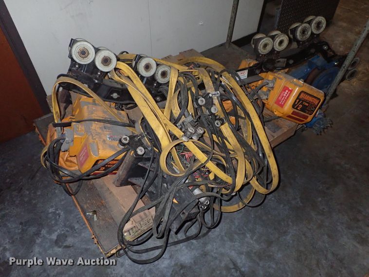 image for item FE9801 Harrington overhead hoist