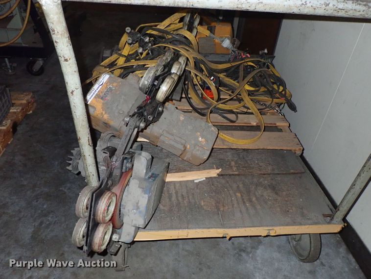 image for item FE9801 Harrington overhead hoist