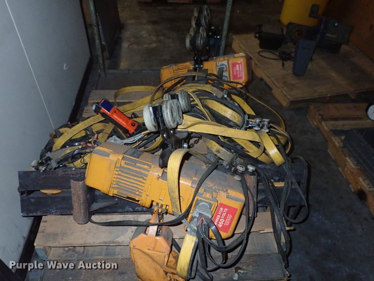 image for item FE9801 Harrington overhead hoist