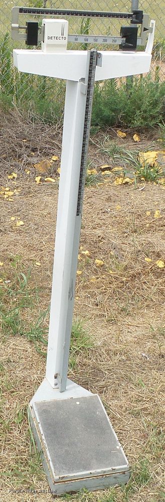 image for item EQ9131 Exercise equipment