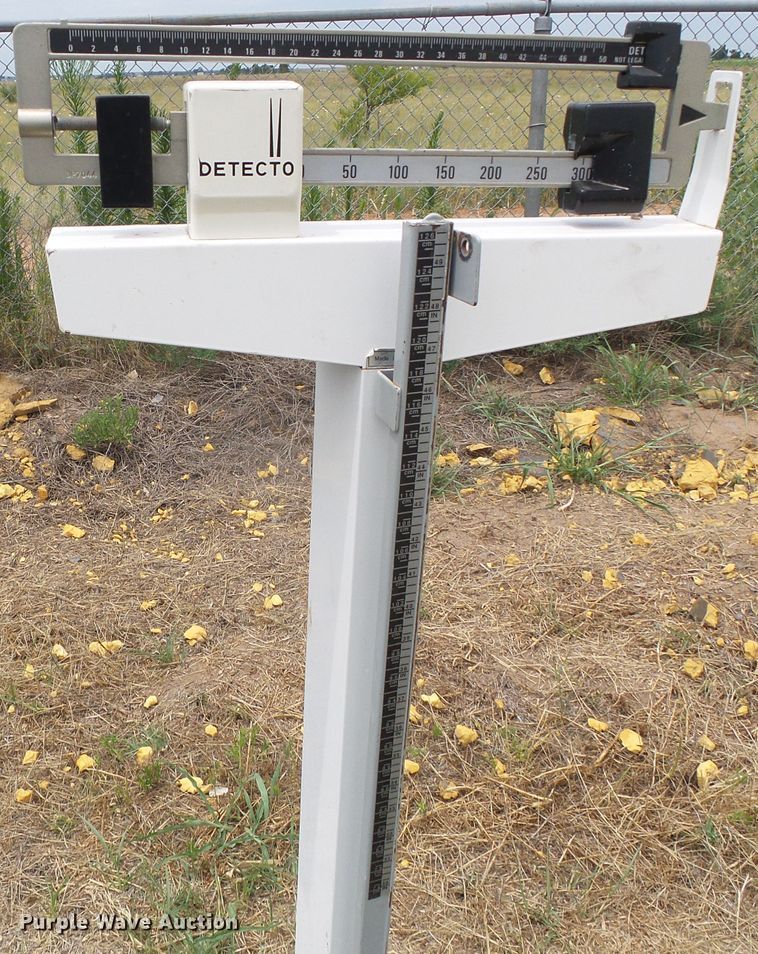 image for item EQ9131 Exercise equipment