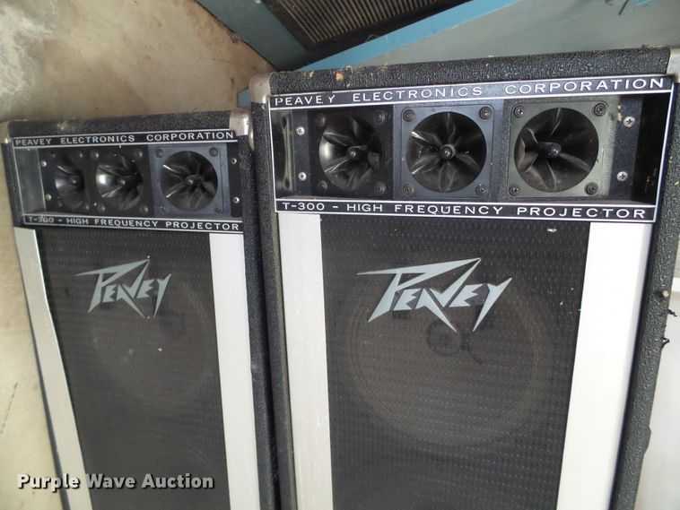 image for item EQ9133 Speakers and amplifiers