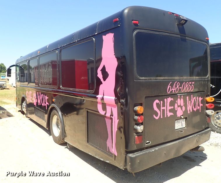 image for item DE5453 1999 Blue Bird coach bus