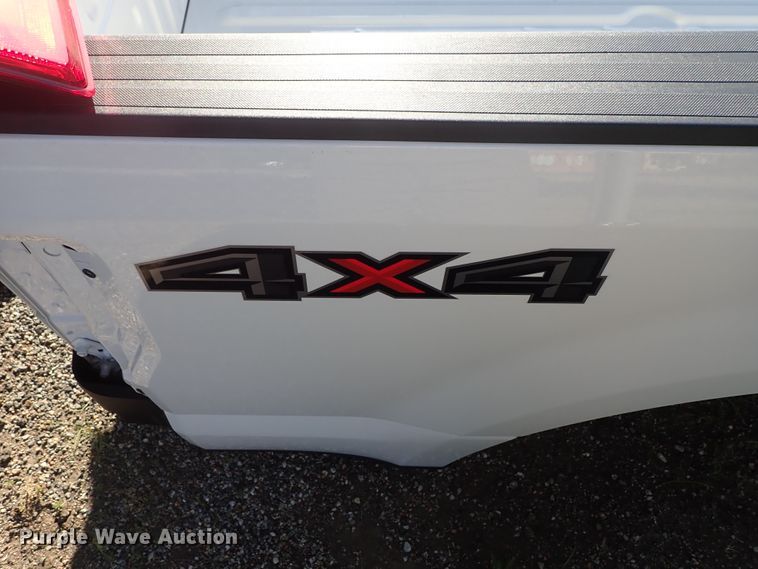 image for item DE5519 2019 Ford pickup truck bed