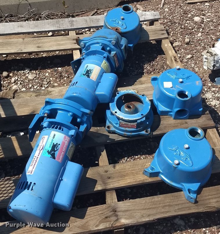 image for item FX9276 (2) Goulds Irra-gator pumps