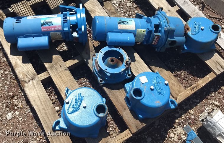 image for item FX9276 (2) Goulds Irra-gator pumps