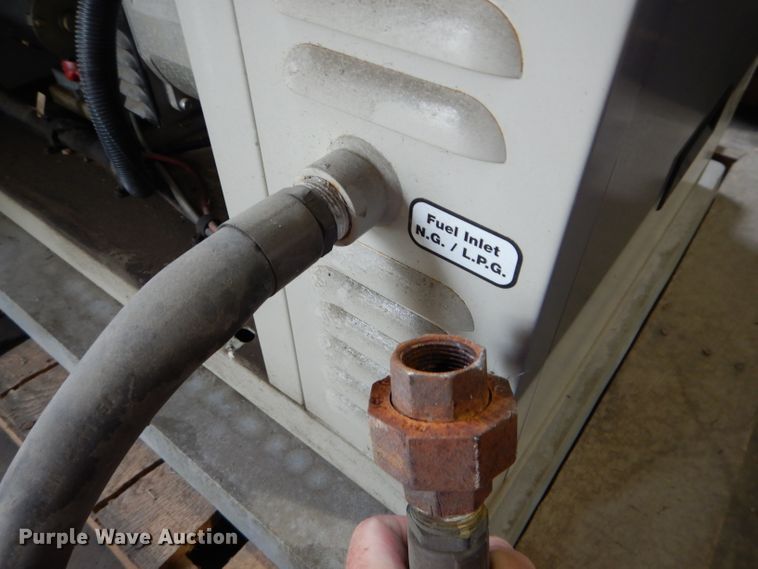 image for item GJ9811 Briggs & Stratton 01815 generator