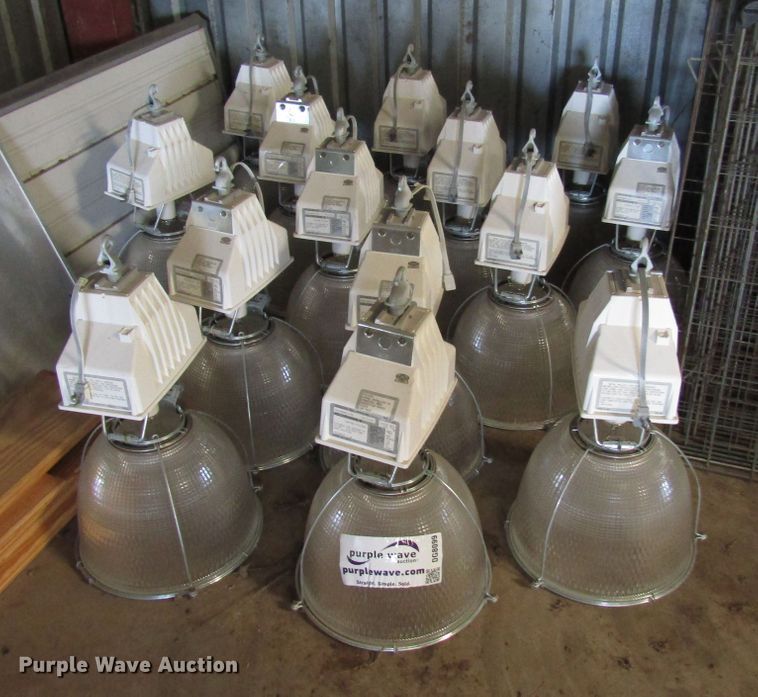 image for item DG8099 (14) lights