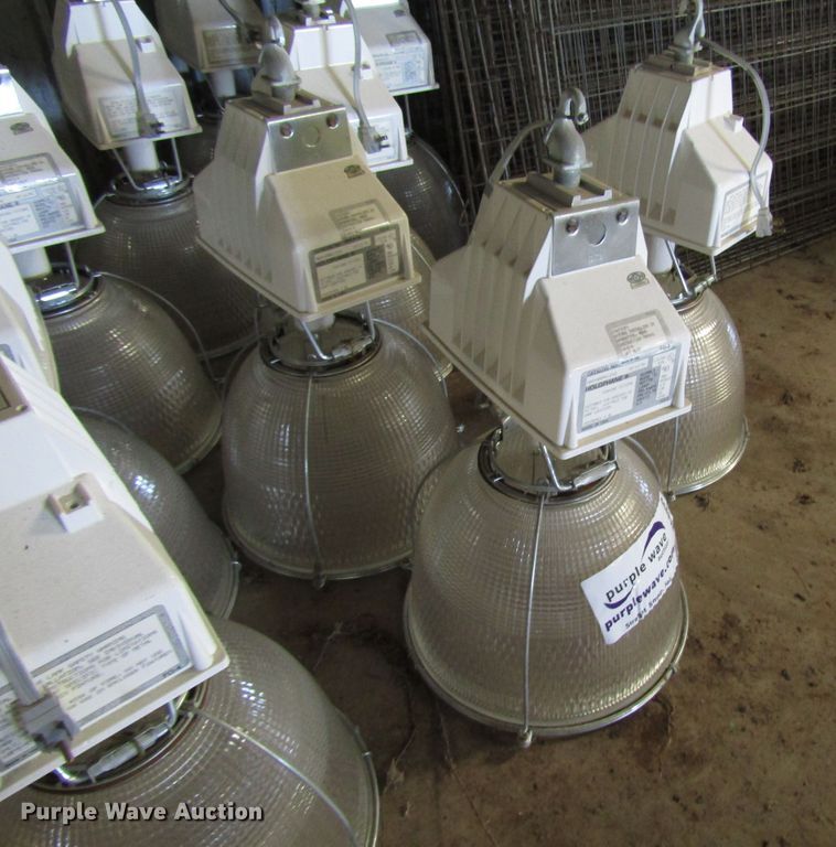 image for item DG8099 (14) lights