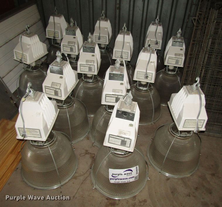 image for item DG8099 (14) lights