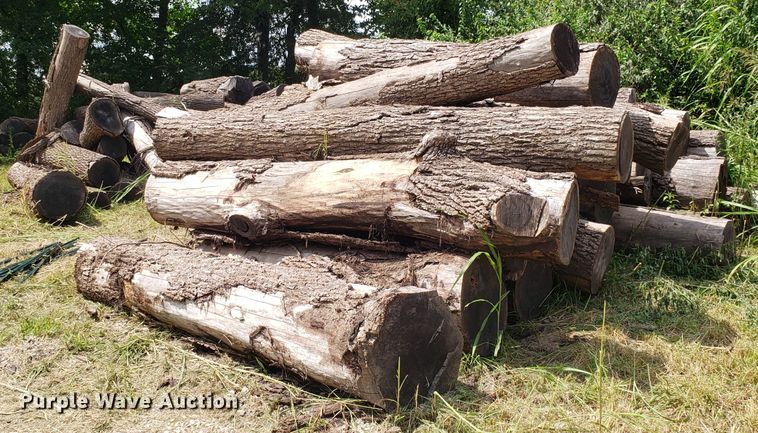image for item ET9889 Approximately 55 walnut logs