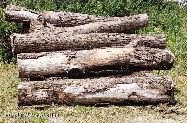 image for item ET9889 Approximately 55 walnut logs