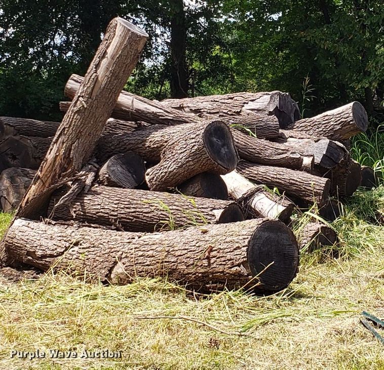 image for item ET9889 Approximately 55 walnut logs
