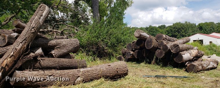 image for item ET9889 Approximately 55 walnut logs