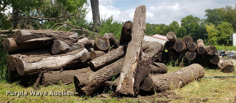 image for item ET9889 Approximately 55 walnut logs