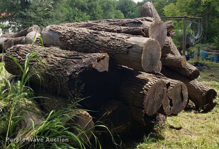 image for item ET9889 Approximately 55 walnut logs