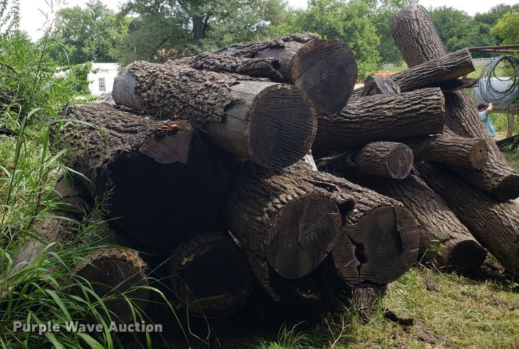 image for item ET9889 Approximately 55 walnut logs