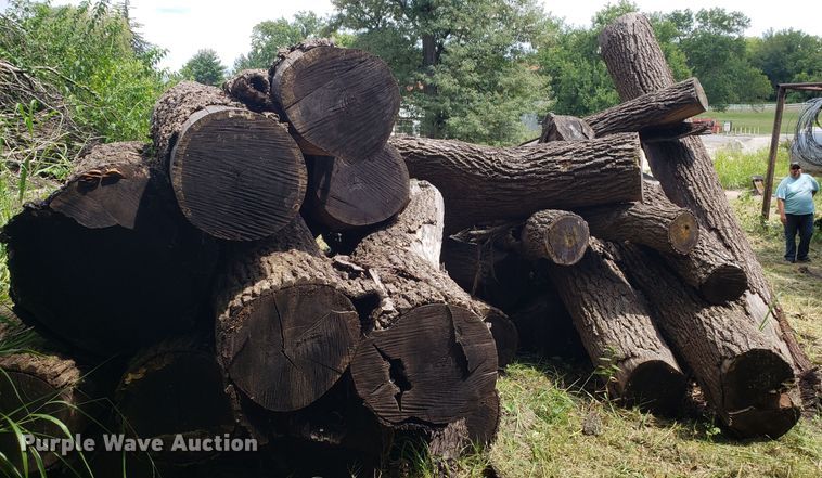 image for item ET9889 Approximately 55 walnut logs