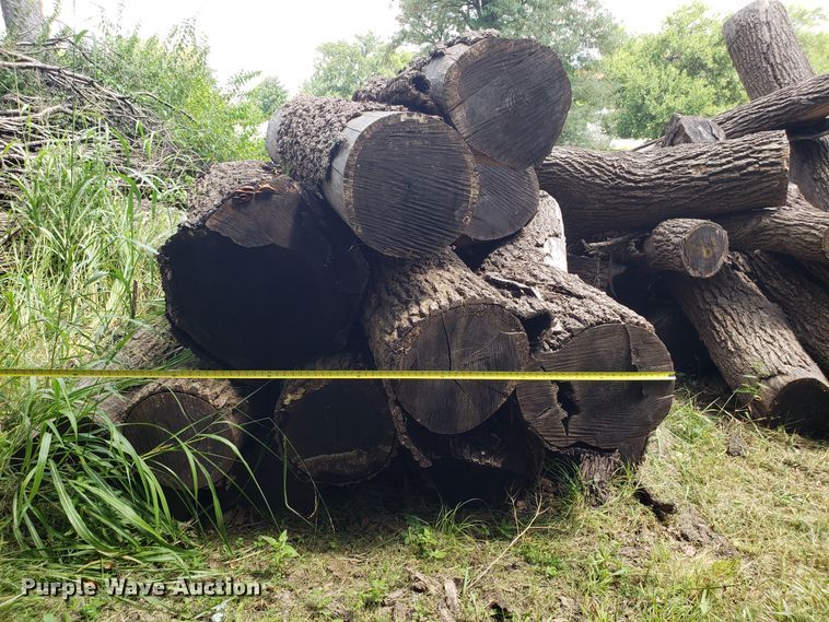 image for item ET9889 Approximately 55 walnut logs