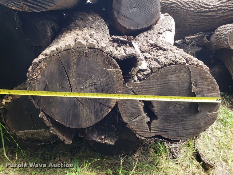 image for item ET9889 Approximately 55 walnut logs