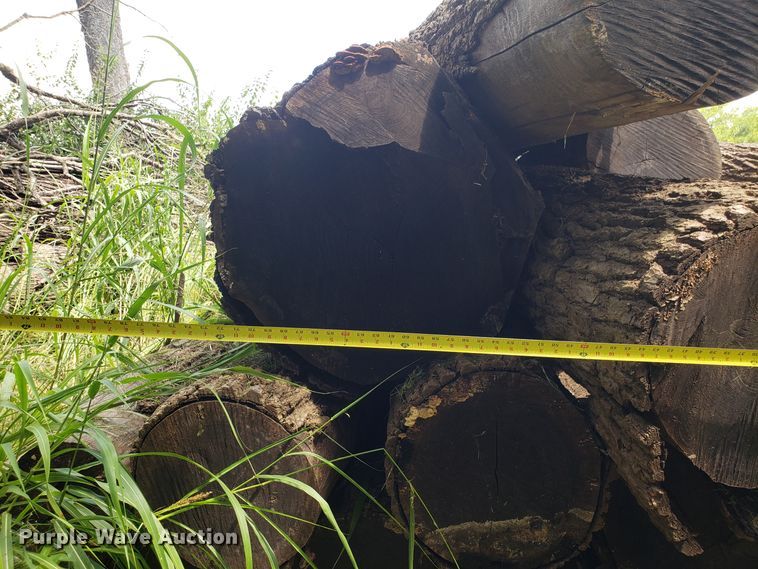 image for item ET9889 Approximately 55 walnut logs